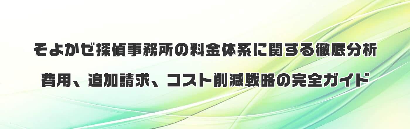 ���悩���T�㎖�����̗����̌n�Ɋւ���O�ꕪ�́F��p�A�ǉ������A�R�X�g�팸�헪�̊��S�K�C�h